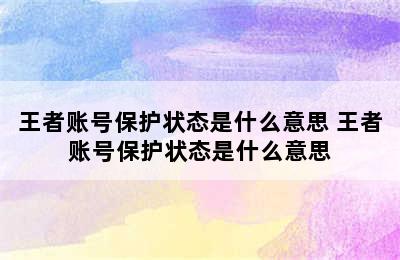 王者账号保护状态是什么意思 王者账号保护状态是什么意思